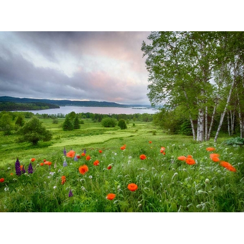 Canada, New Brunswick Landscape of meadow